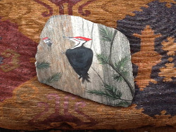Woodpecker Painting